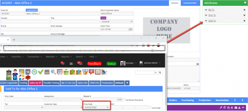 File:Customer pricing sold to.png